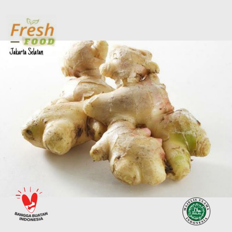 

Jahe Biasa Fresh Ukuran Sedang/Kecil Bersih