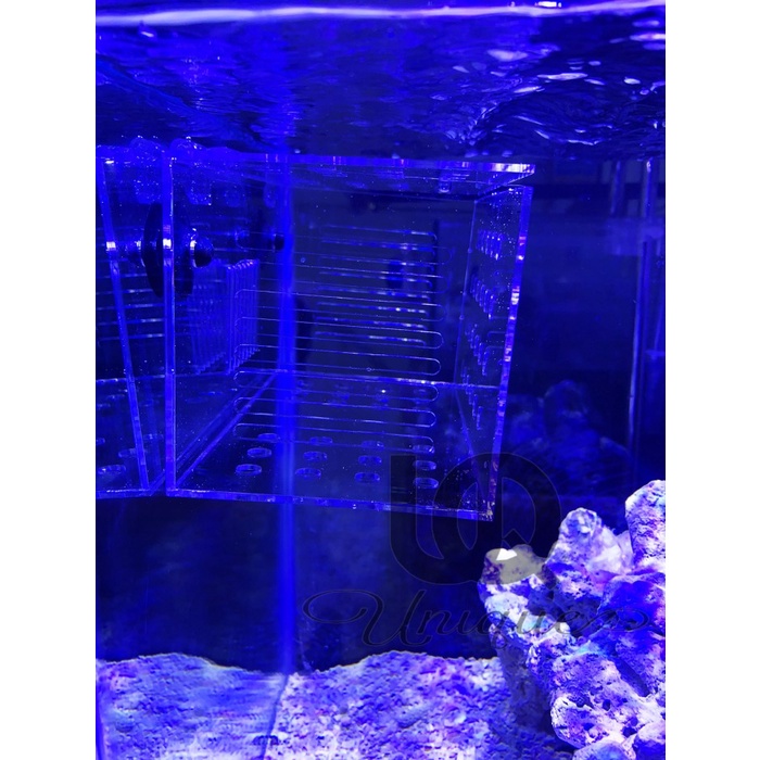 Acrylic Box Aklimasi Ikan Laut - Tempat Karantina Ikan Tawar Akrilik