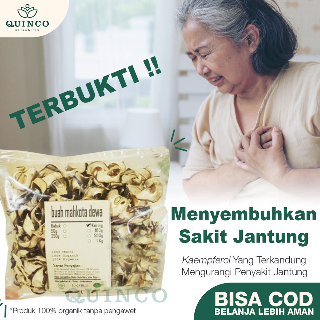 

JSR minuman jamu teh obat herbal asam urat kolesterol diabetes R52 MAHKOTA DEWA kering MURNI 100 gr