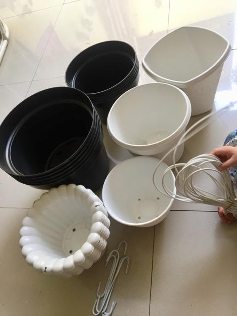 Pot Bunga Tanaman Twistter Putih 20cm