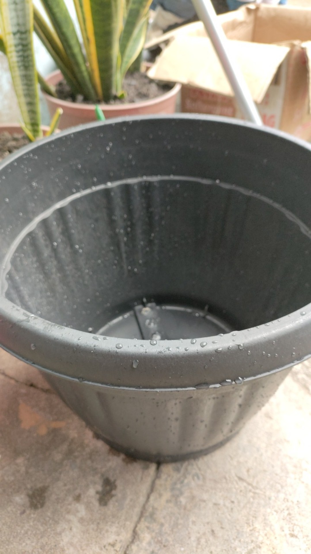 Pot Bunga Tanaman Hitam Grace 35 Cm (kuping)