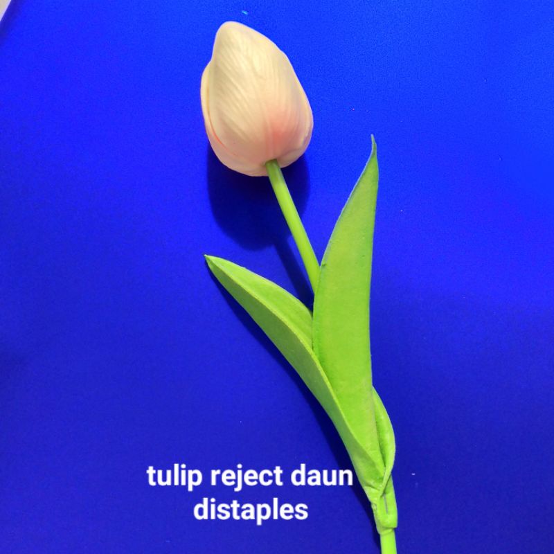 Bunga tulip besar per tangkai