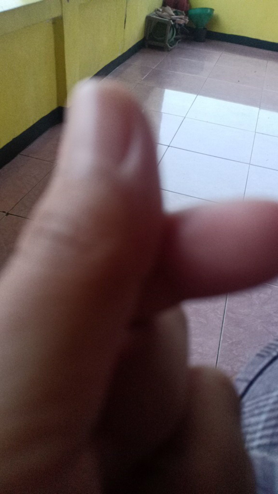 ✯best♗ Lem Wallpaper Dinding Greatwall Great Wall Murah / Wallpaper Adhesive ♕