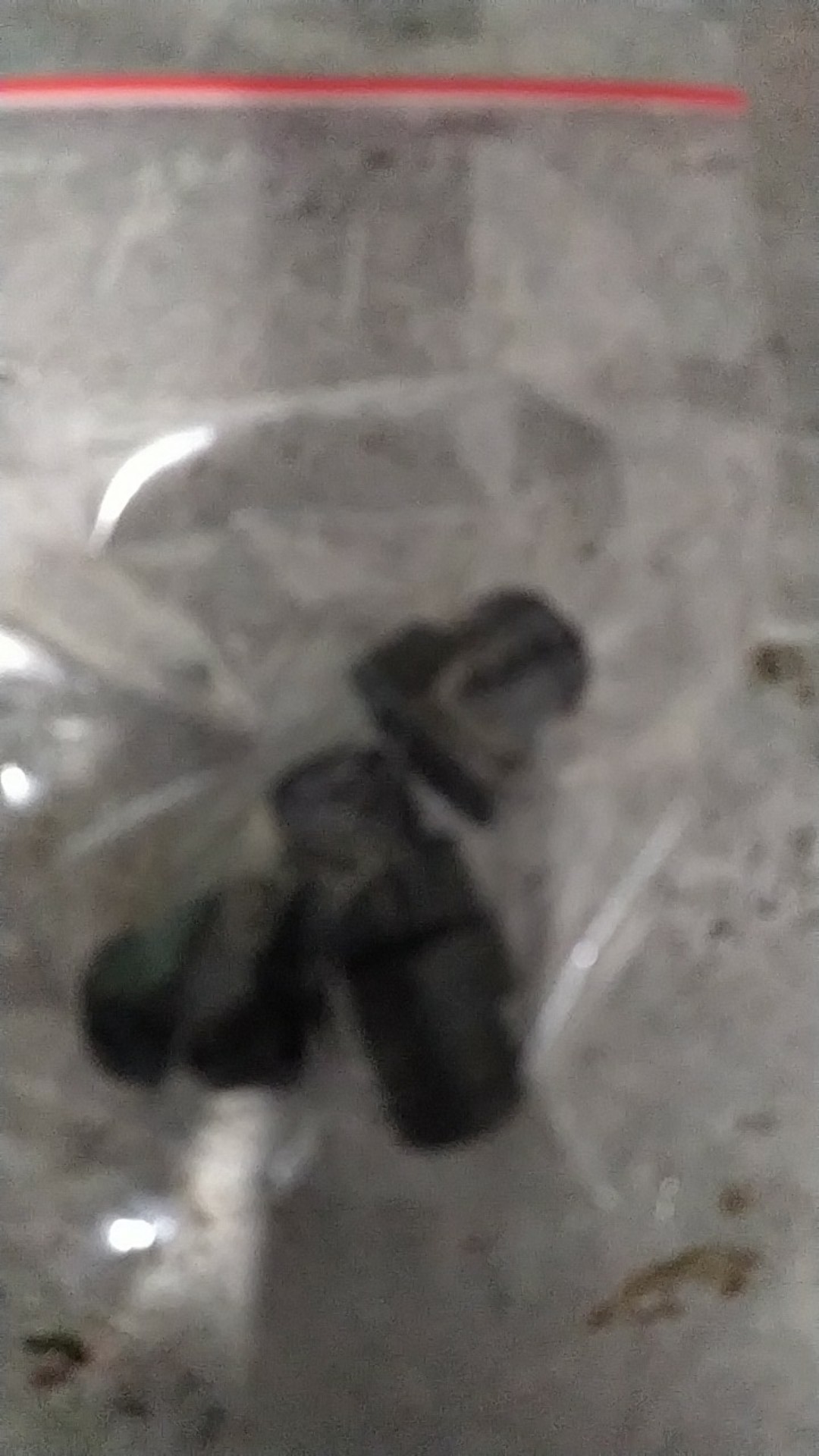 Karet Pompa Canon Baru Od 22 / Karet Pompa Canon / Klep Pompa / Karet Pompa