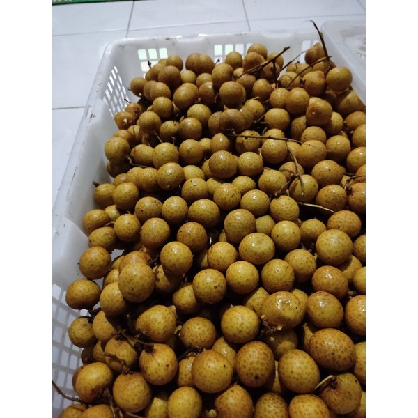 

buah import dan lokal