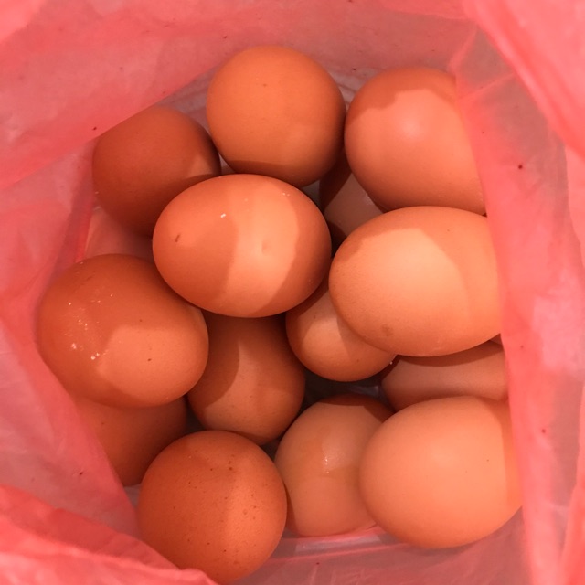 Telur Ayam 1 kg Indonesia