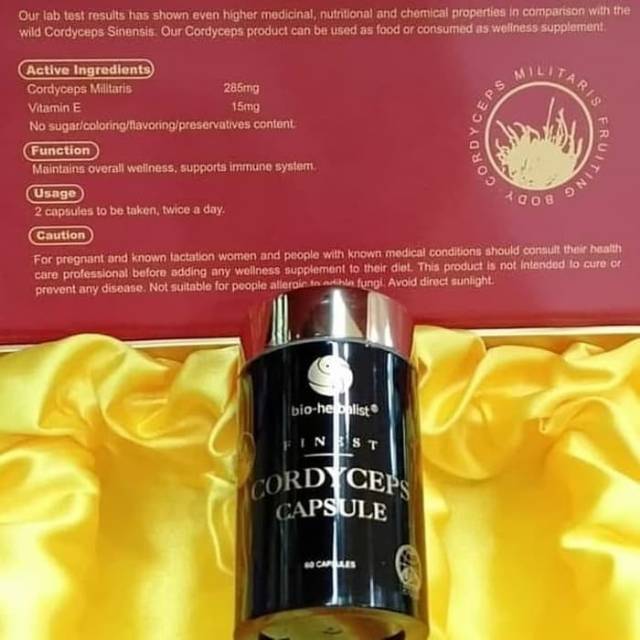 Cordyceps Dong Chong Xia Cao Original Singapore