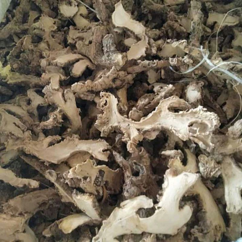 LEMPUYANG KERING 500 GRAM