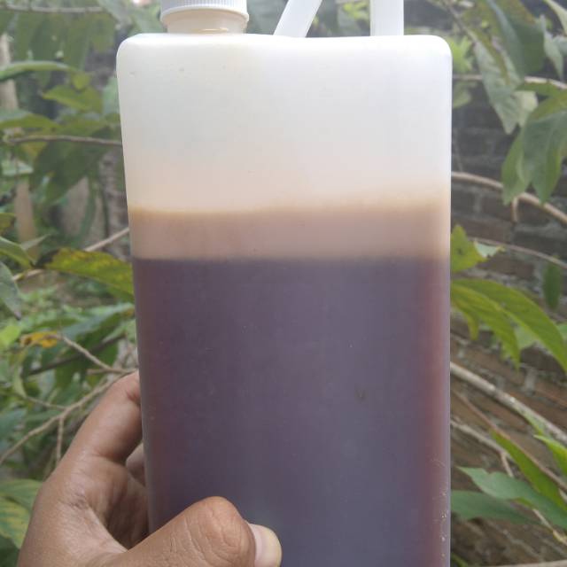 

Madu hutan amirah 1 kg