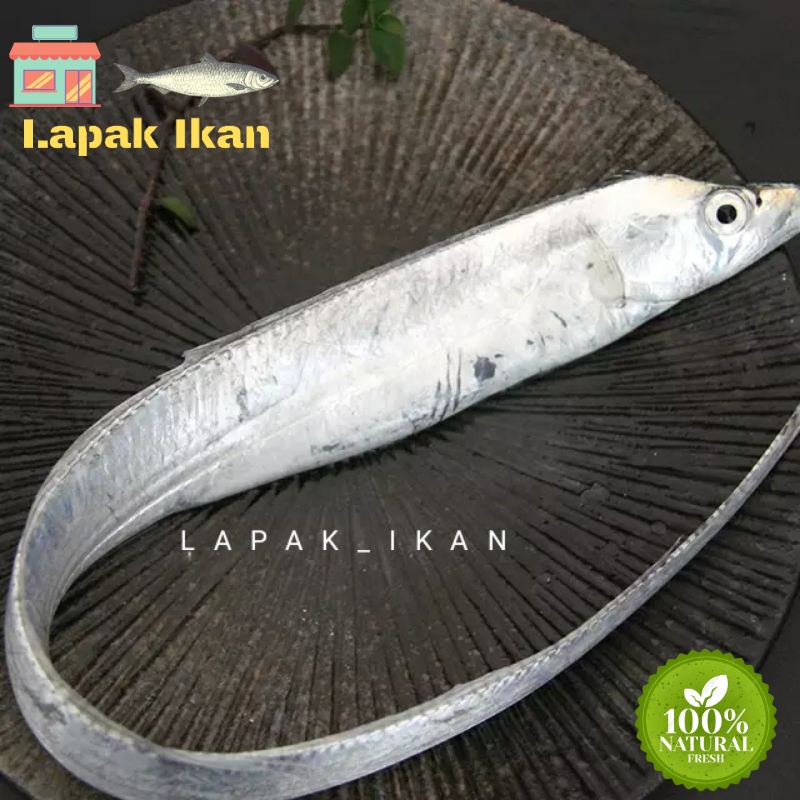 

GROSIR Ikan Layur Segar Fresh Bergaransi 5Kilogram / 10Kilogram