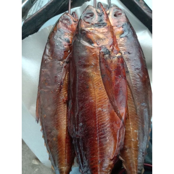 

Ikan Asap Cengkurungan