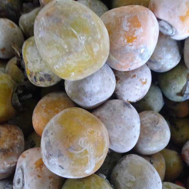 

Buah Kesemek ~Apel Jawa Buah Genit perkilogram minim order 2 @ Kilogram