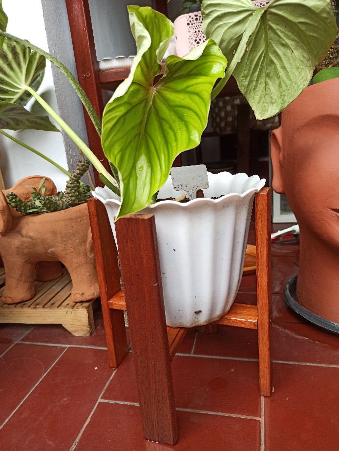 Kaki Kayu Pot  Standing Pot Kayu  Rak Tanaman Kayu