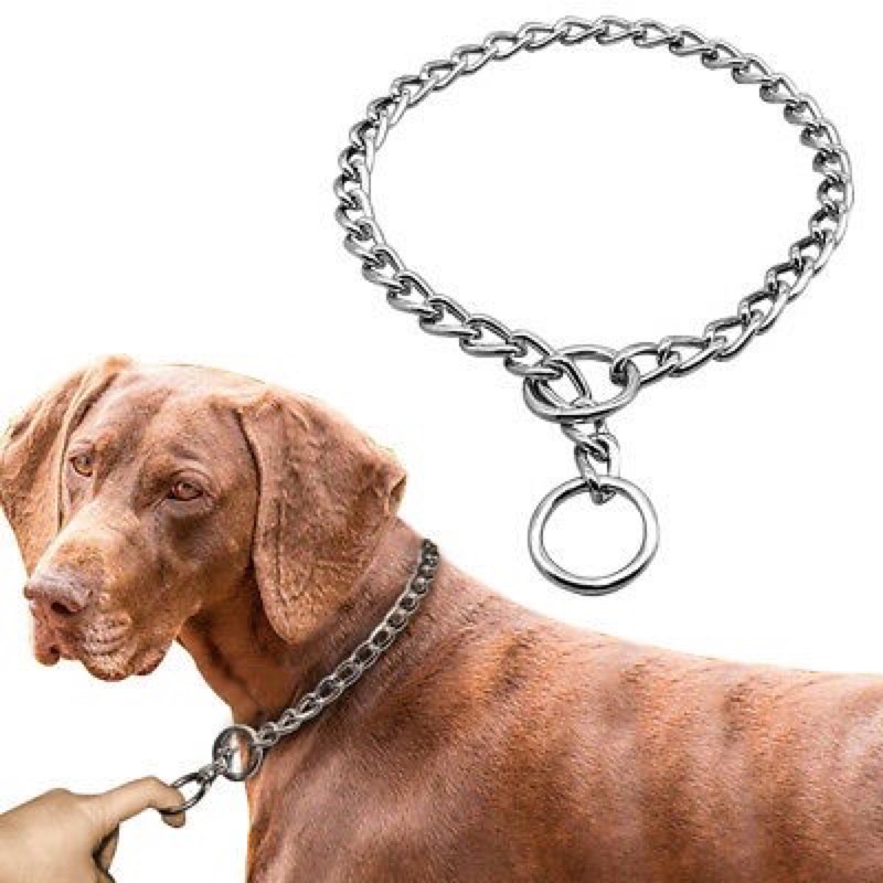 Rantai kalung anjing kucing - rantai kalung - rantai kalung collar