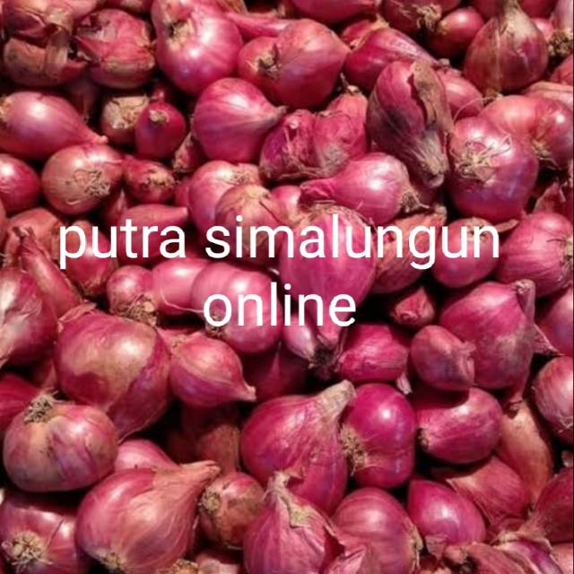 

BAWANG MERAH segar 1kg