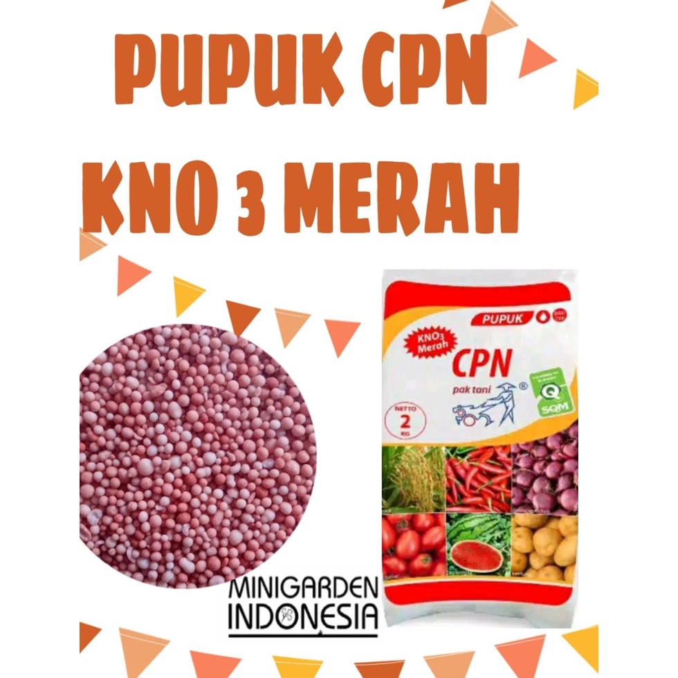 CPN 2 KG PUPUK KNO3 MERAH 2kg  PUPUK VEGETATIF TANAMAN BUAH SAYUR PAK TANI