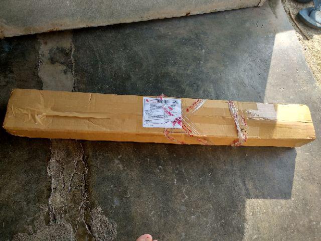 Tanaman Belimbing Madu / Dewi (buy 1 Get 1)