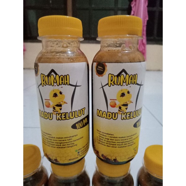 

madu kelulut