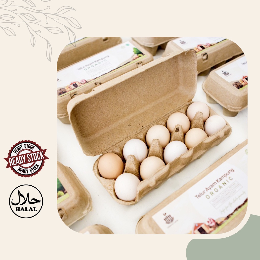 

TELUR AYAM KAMPUNG ORGANIK By Honest Farm