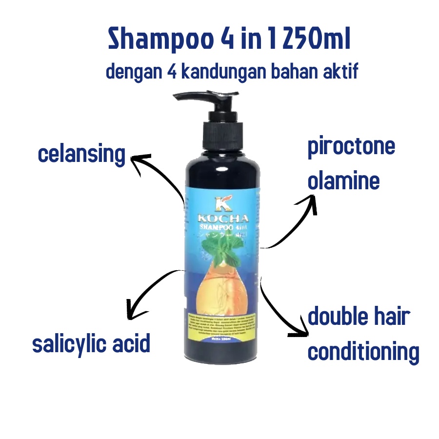 Shampoo Paling Ampuh Atasi Ketombe Dan Rambut Rontok A02-Shampo 4 in 1 250ml