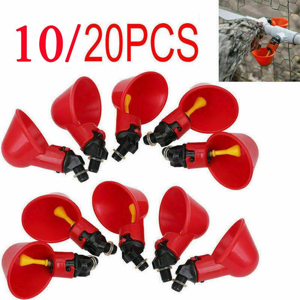 TOP 10 /20 Pcs Gelas Minum Air Unggas Panas new Burung Kandang Ayam Pakan Puyuh Ayam Hen