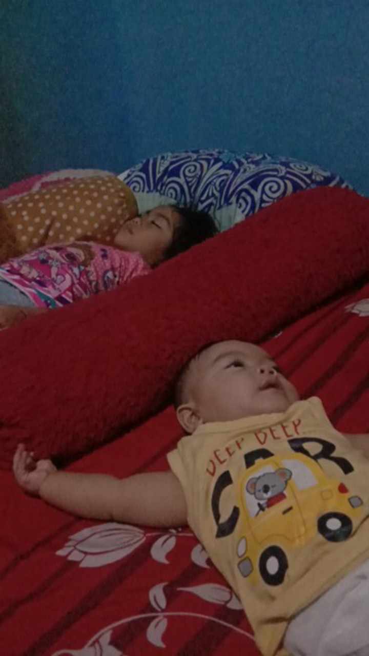 Belt Pack Sabuk Tali Gendong Pompa Semprot Hama Elektrik Cba 12v Tanika  Yamamoto 2 In 1