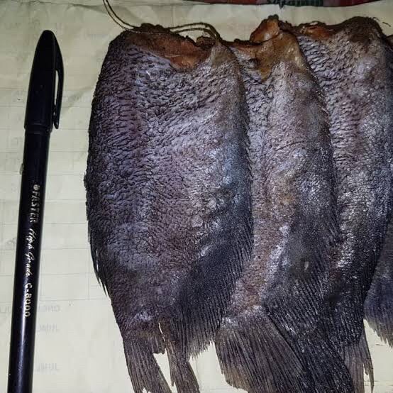 

Ikan asin Sepat siam paling jumbo 1kg