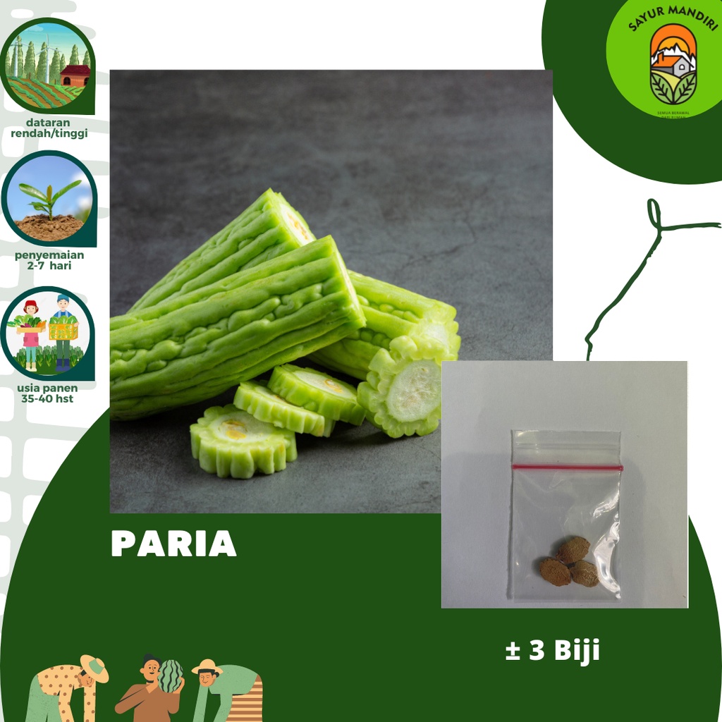 Benih Paria Seribuan