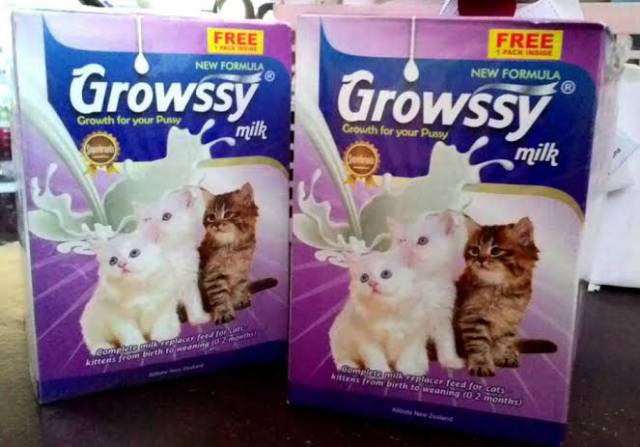 SUSU GROWSSY 1 BOX PACK DUS SUSU KUCING