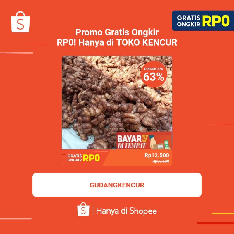 

kencur 1 kg kencur baduy kencur super asli banten