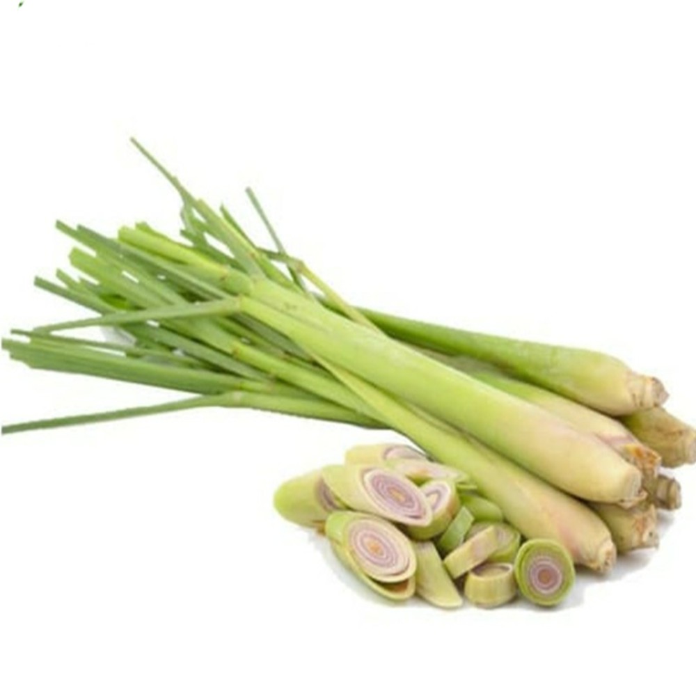 

SEREH SERAI 500GR JAMU REMPAH EMPON EMPON BUMBU DAPUR KESEHATAN HERBAL