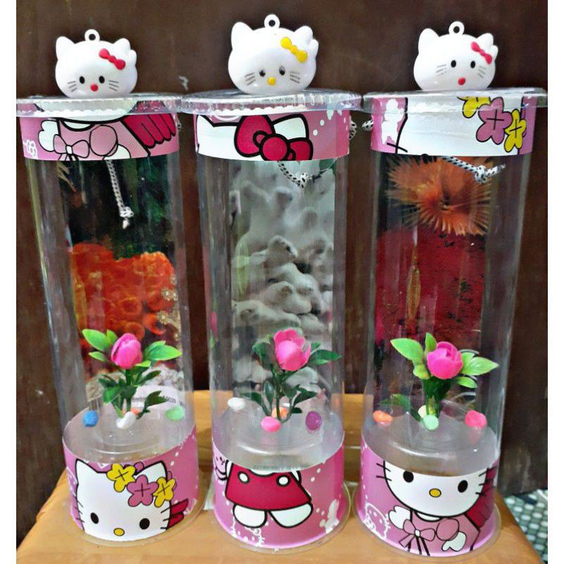 aquarium ikan cupang/aquarium mini/akuarium mika