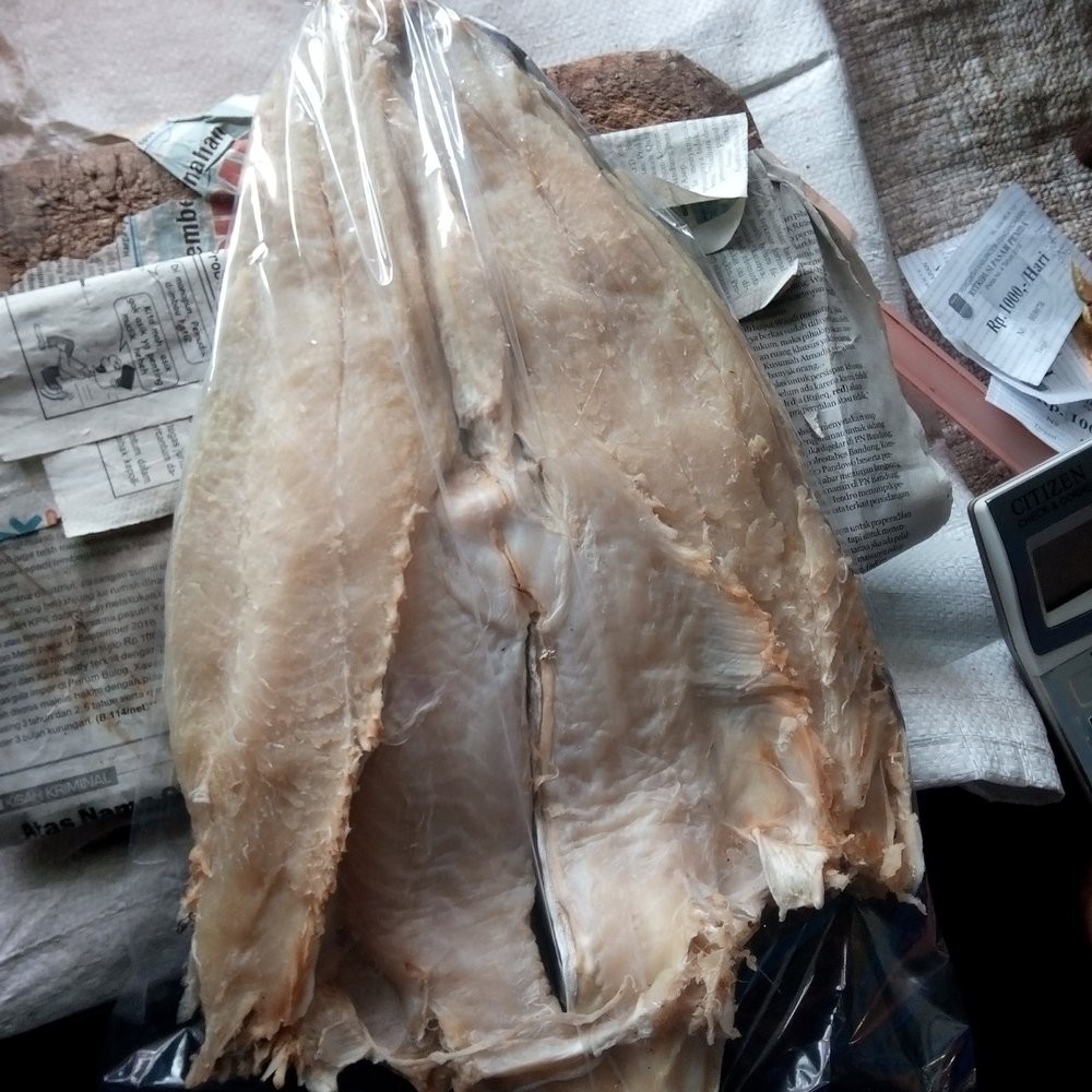 ikan asin jambal roti super  Terlaris