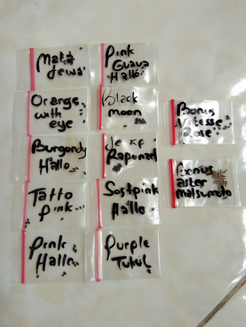 Vinca Softpink Hallo (benih/seed/biji) Tegak