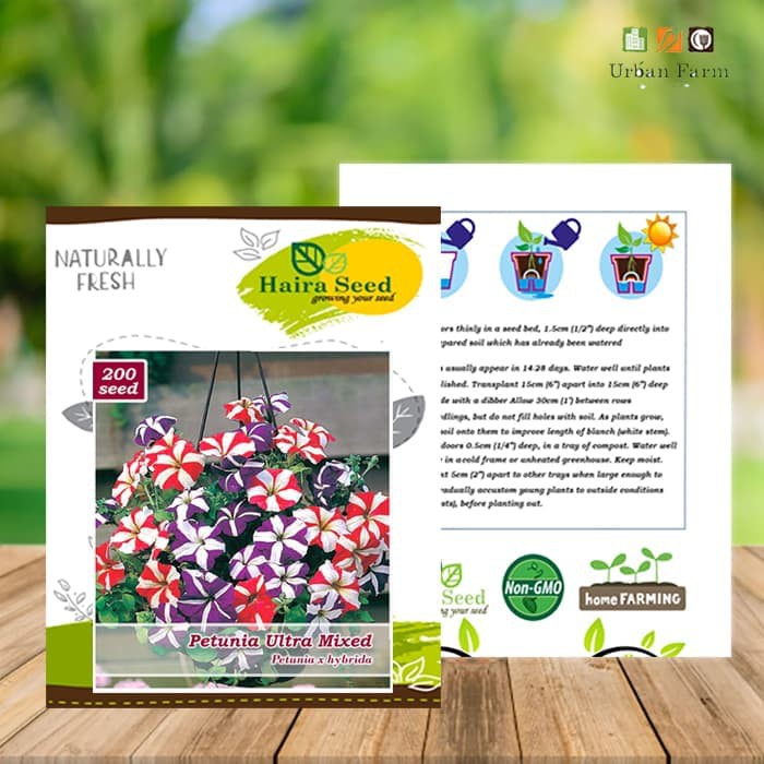 

Termurah Benih-Bibit Bunga Petunia Ultra Mixed (Haira Seed) Terlaris