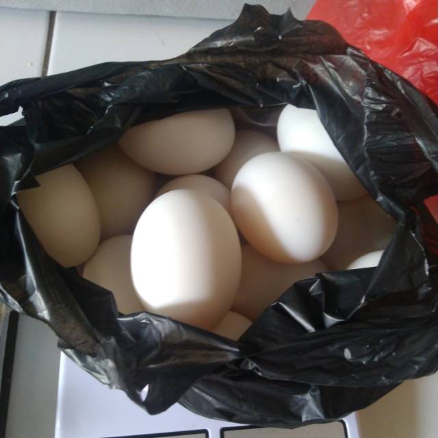 

Telur bebek peking