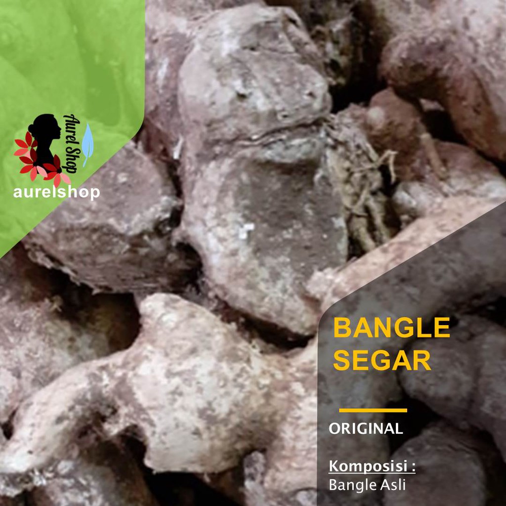 

Bangle Segar Bangkle kemasan 1 kg