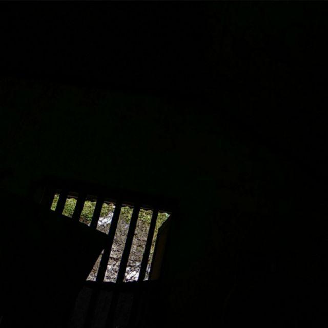 Fata - Bed Cover Set Motif Black Forest Ukuran Single 120x200