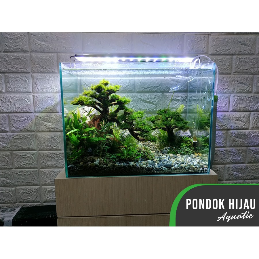 Harga Aquarium Aquascape Terbaik Hobi Koleksi Agustus 2021 Shopee Indonesia Jual aquarium aquascape surabaya
