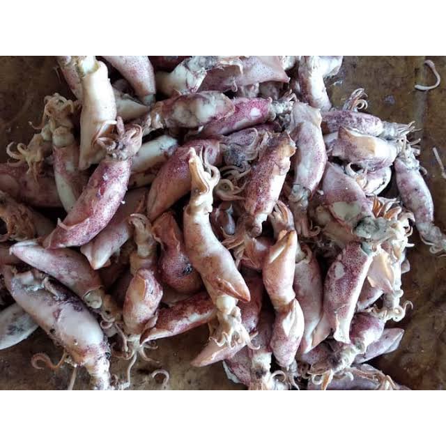 Cumi Asin / Sotong Asin 250 Gr