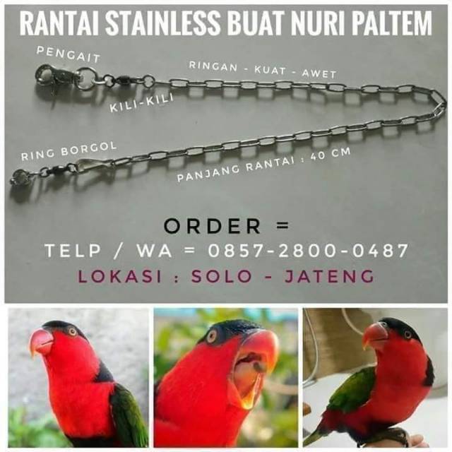 Rantai Stainless Nuri Kepala Hitam