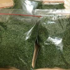 

Daun Parsley kering USA 50gr/Parsley leave Dried USA 50gram