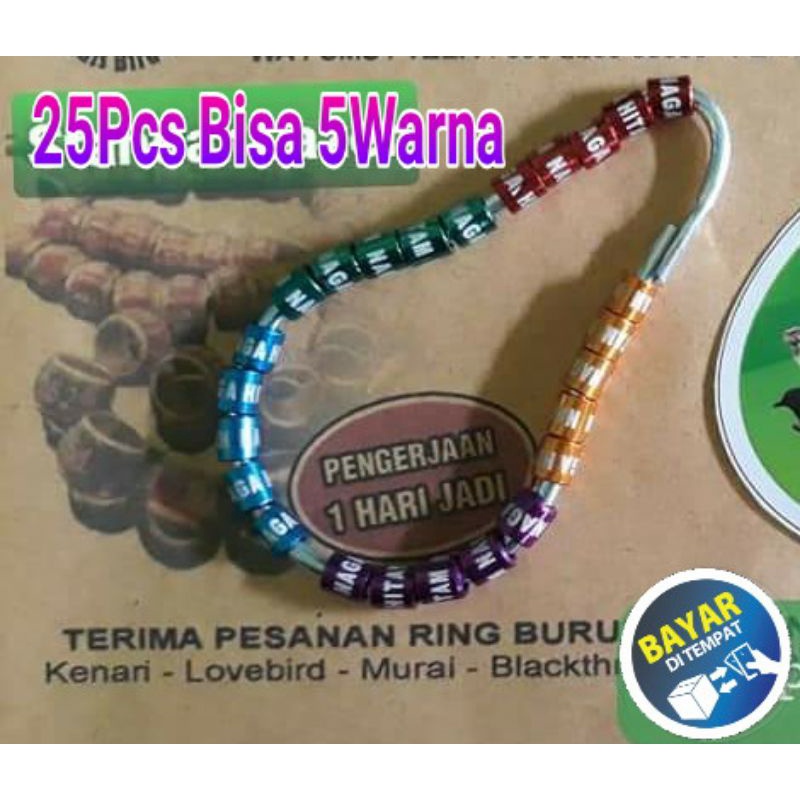 CincinBurung1HariJadi RingBurung1HariJadi 25Pcs Bisa 2 - 5 Warna Standar Lazer Proses Cepat