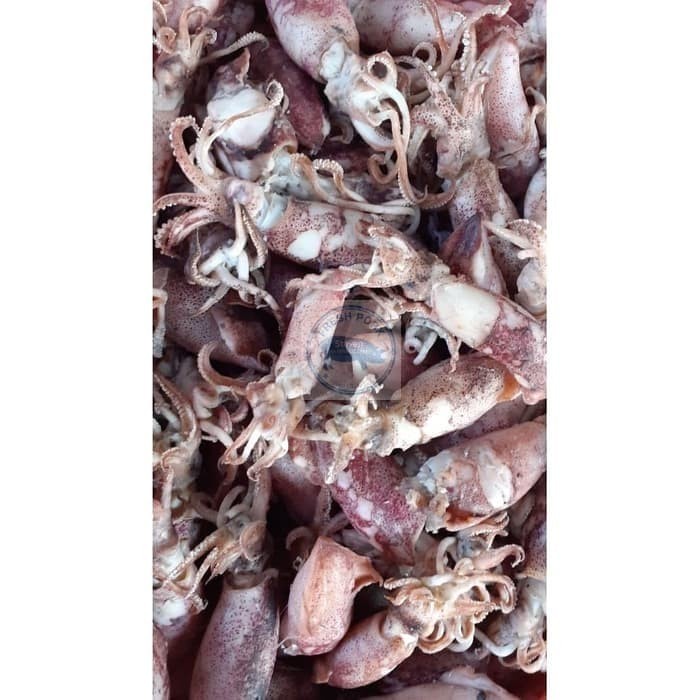 

CUMI KERING CUMI ASIN JARUM 500 GRAM - DRIED SALTY TINY SQUID