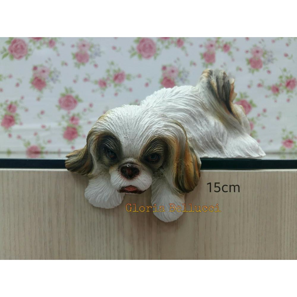 22+ Anjing pekingese dijual information