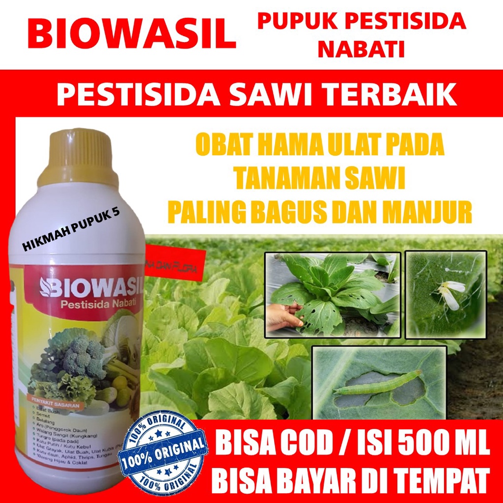 BIOWASIL PESTISIDA PALING MURAH HAMA ULAT BUAH PADA SAWI, KUBIS, MENTIMUN  Obat Hama Ulat Buah Palin