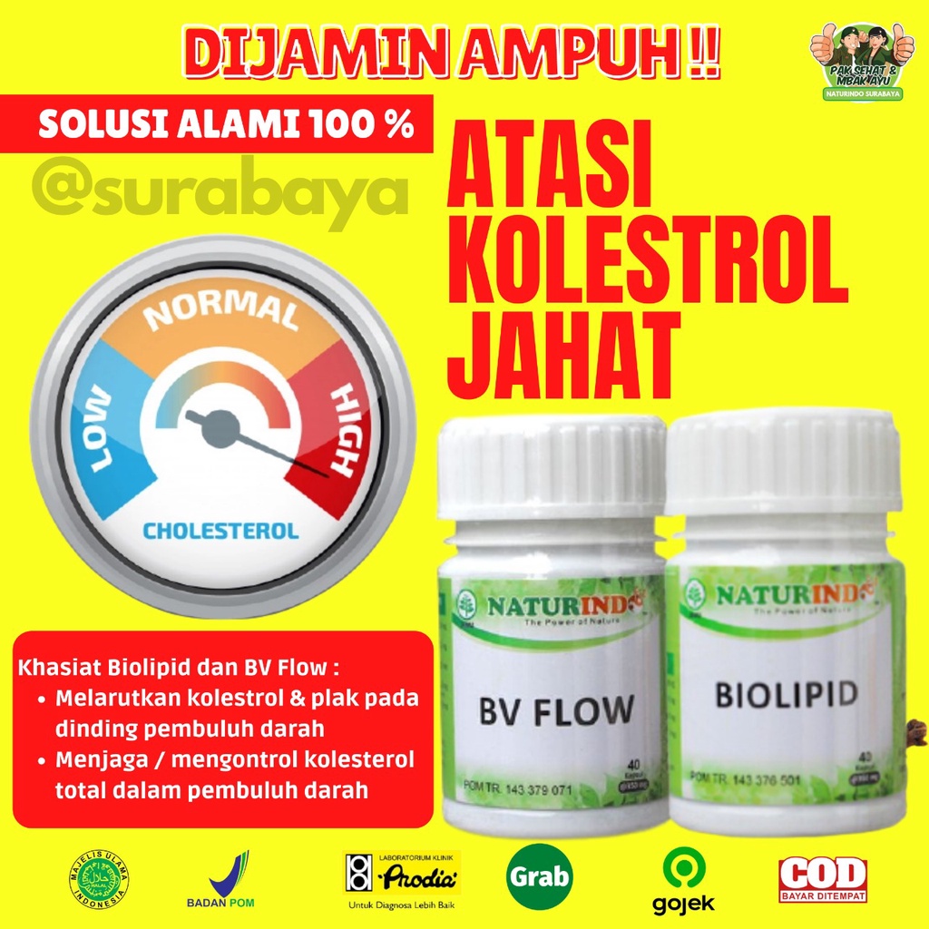Obat Penurun Kolestrol Kolesterol Tinggi 250 Asam Urat Obat Herbal Penurun Kolestrol Jahat Darah Tinggi Obat Penghancur Lemak Darah Herbal Ampuh Menurunkan Kolesterol Bpom Jamu Kolestrol Stroke Jantung Koroner Tradisional Biolipid Naturindo Surabaya-KOLESTROL JAHAT