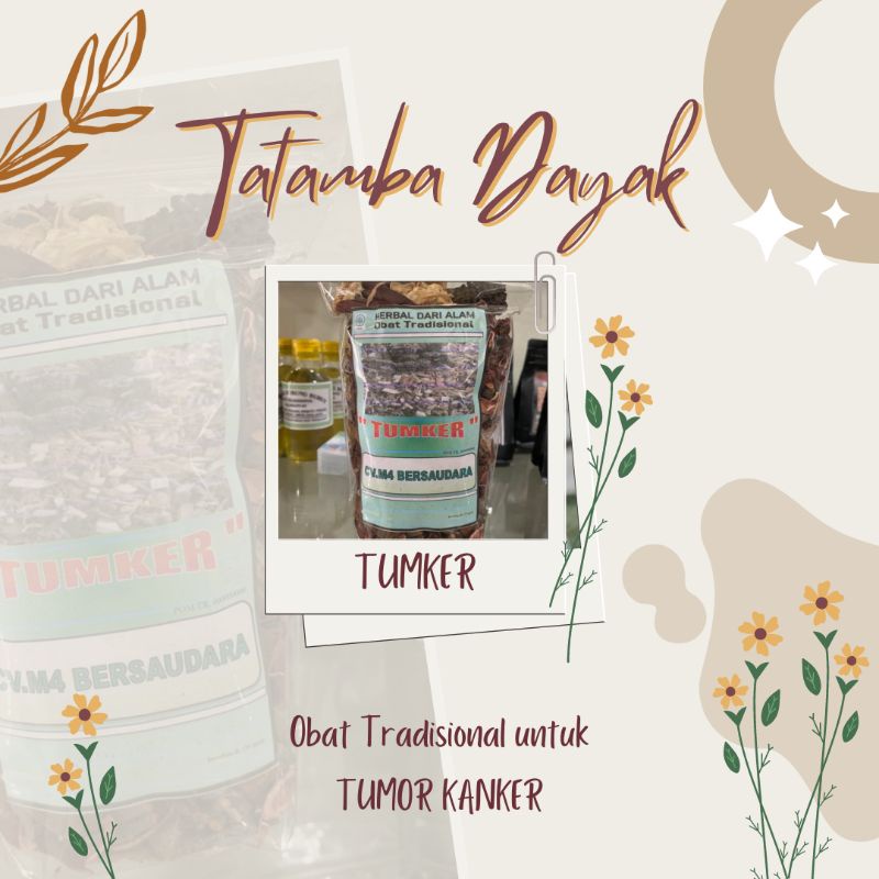 

TUMKER AKAR TUMOR KANKER