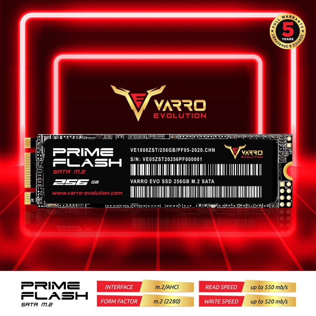 SSD VARRO M2 256GB PRIME 5 TAHUN GARANSI