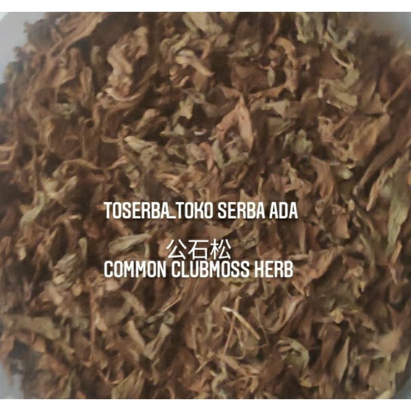 

100gr Herbal Zheng Gong Shi Song 正公石松 Common Clubmoss Grade A
